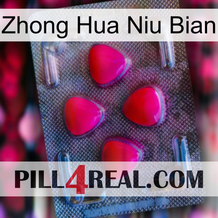 Zhong Hua Niu Bian 13